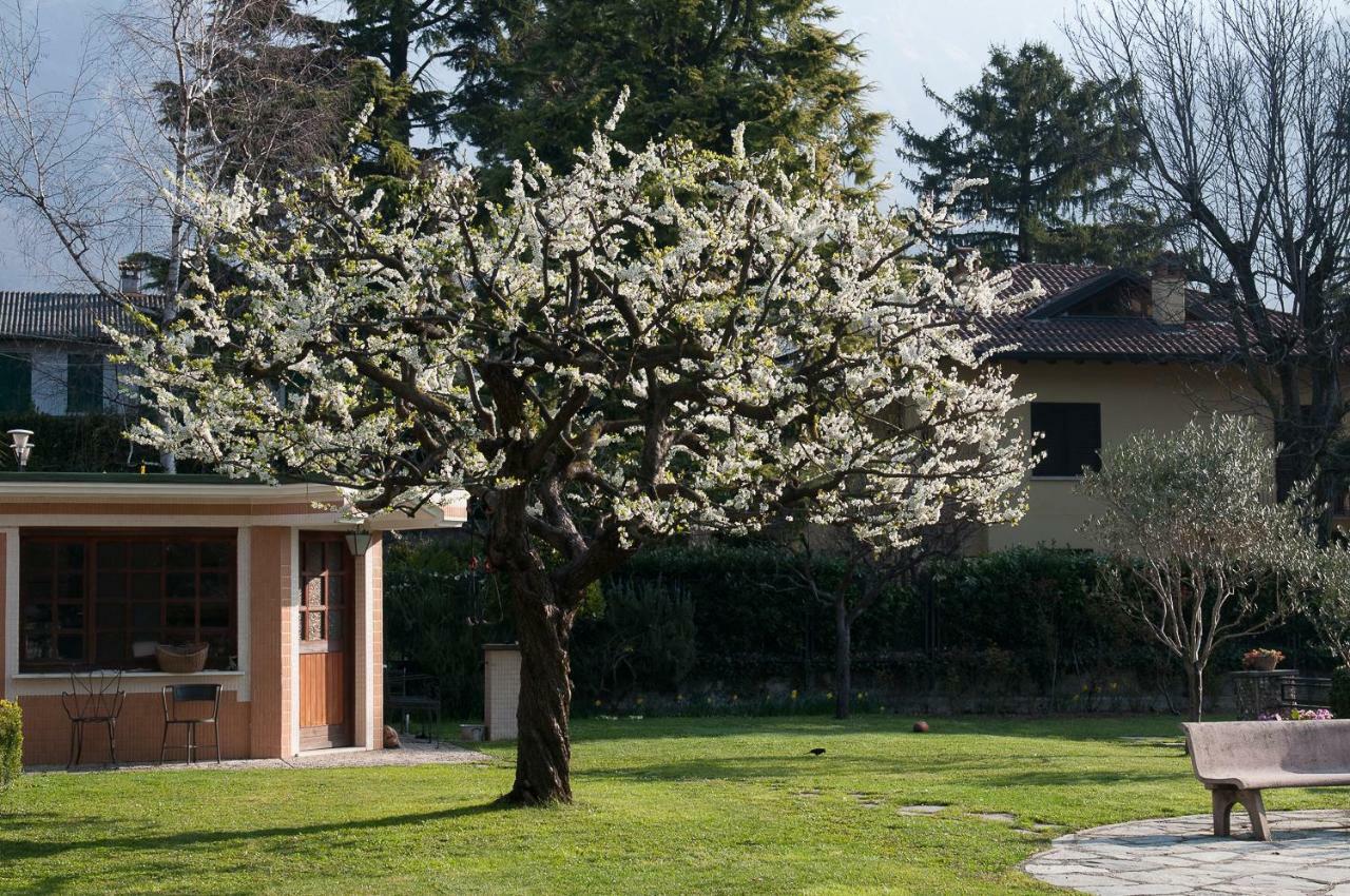 Casetta Del Molo Mandello del Lario Kültér fotó